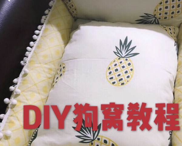 DIY狗窝教程，简单又省钱，狗狗：我的主人最优秀！