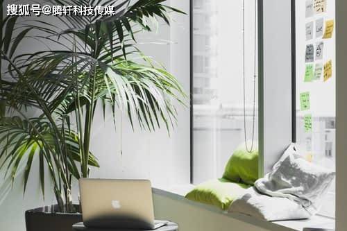 知乎不实信息文章如何删除，如何删除知乎不准确的信息