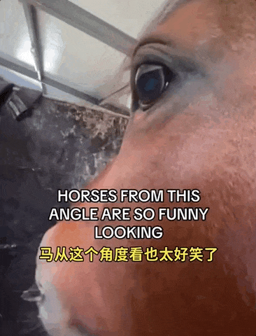男朋友瞎了一只眼，但年薪200万人民币可以嫁吗？网友无语：除了财产就是遗产？