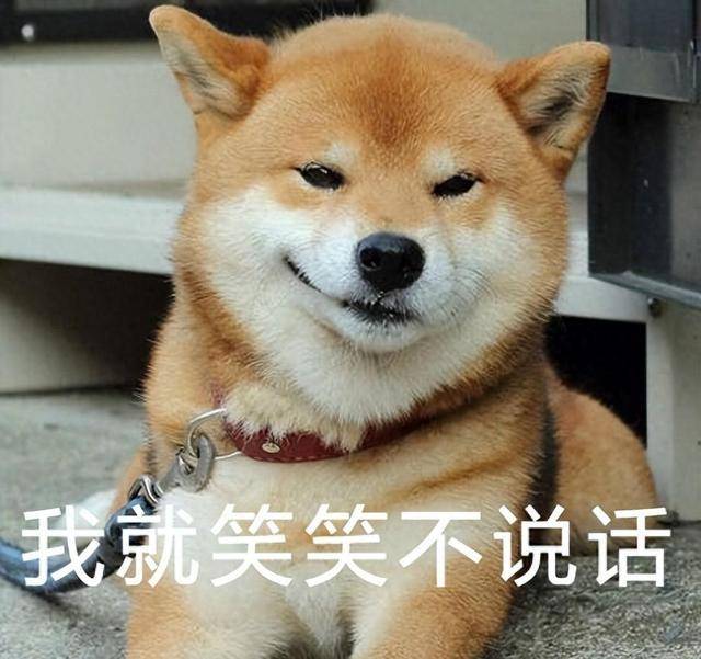 狗狗怎么理解你出门上班的？在狗眼里，是这样想的
