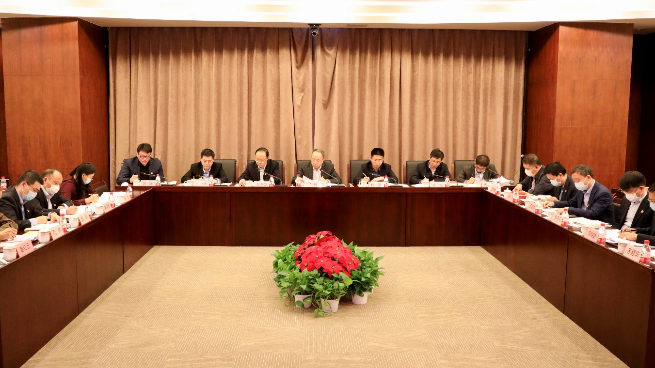 z6体育发展党委理论进建中心组专题进建